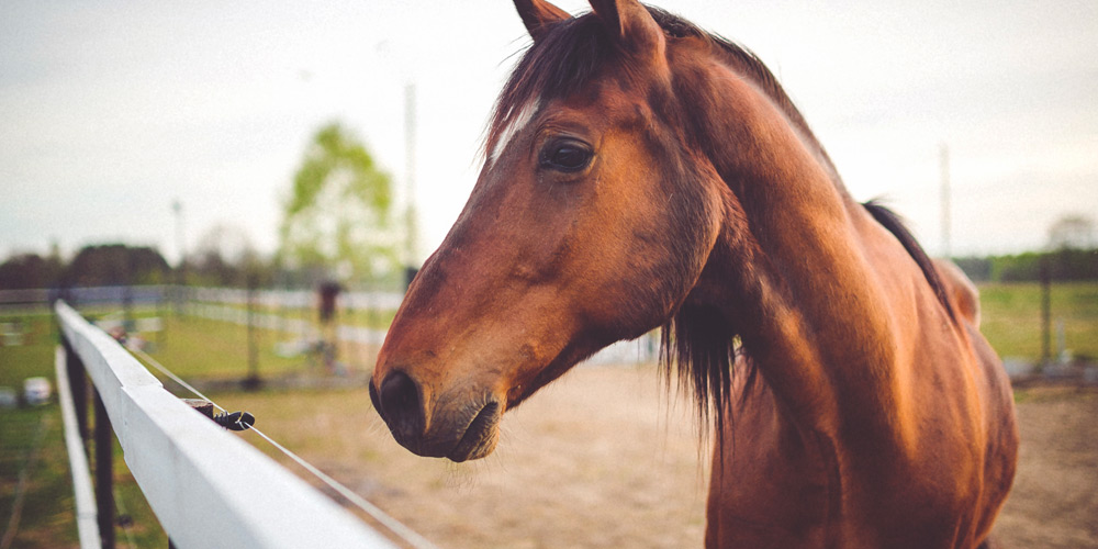Nous proposons un soutien financier ici à Bordeaux dans le cadre de la prise en charge d’enfants en difficulté et/ou handicapés.